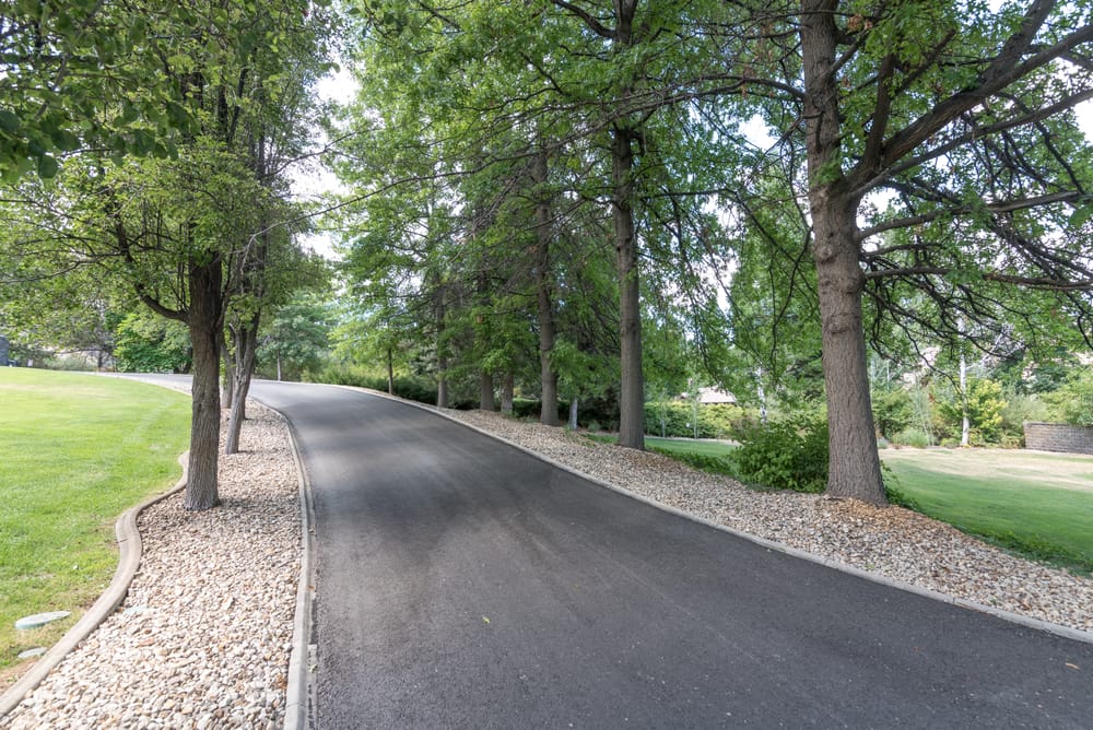 Tree-lined private driveway